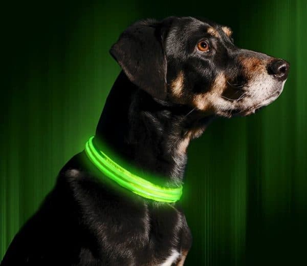 Ledes világító nyakörv - zöld 1